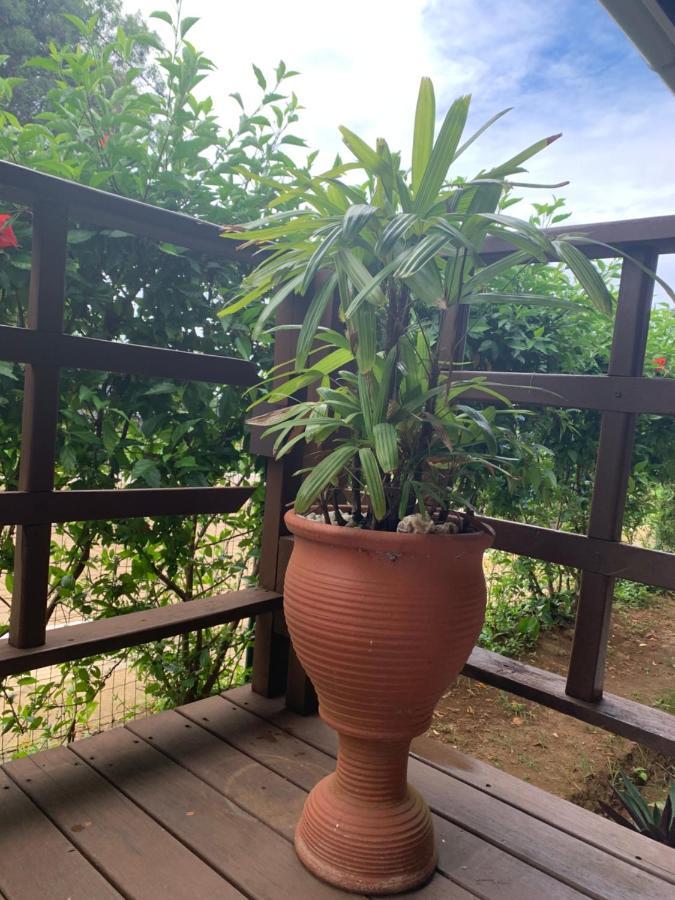 Pousada Ventos Da Atalaia Fernando de Noronha Esterno foto